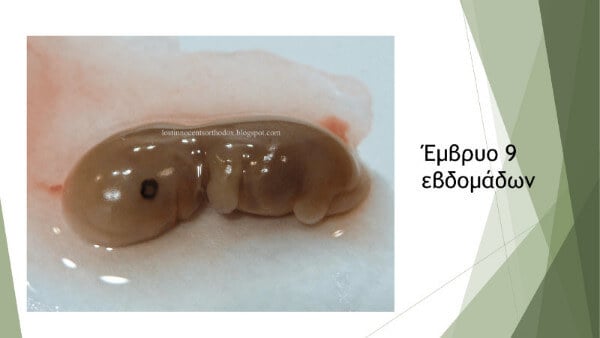 hmerida larisa siasoy paroysiash 01