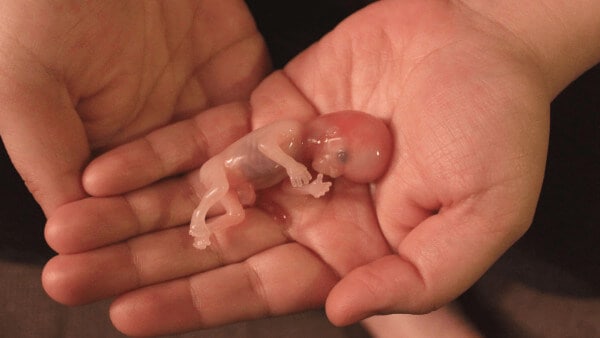 hmerida larisa siasoy paroysiash 13