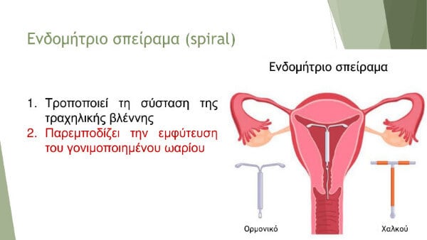 hmerida larisa siasoy paroysiash 23
