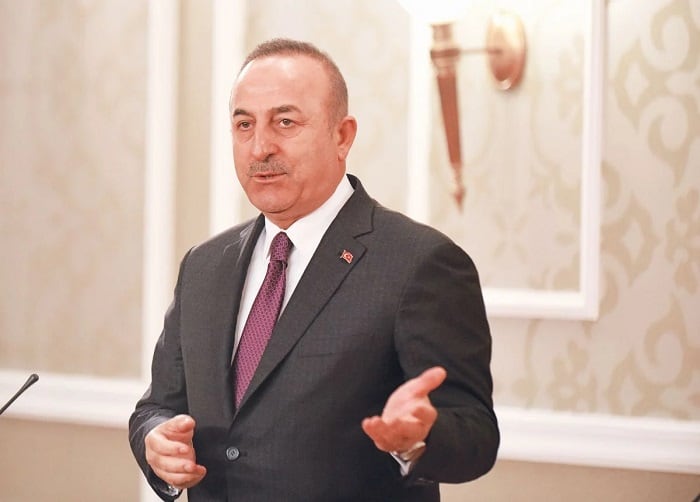 i kyvernisi charaxe thalassia synora 01