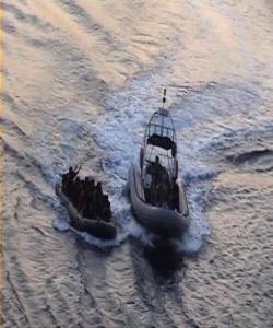 lathrometanastes.images